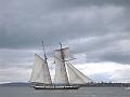 DSCN0141